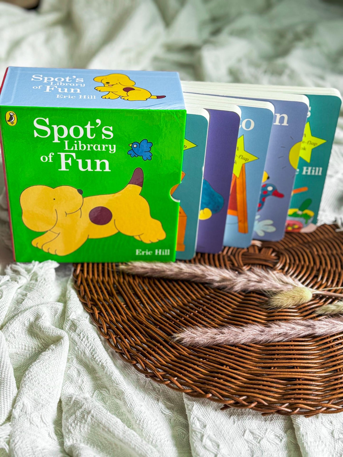 Where's Spot?