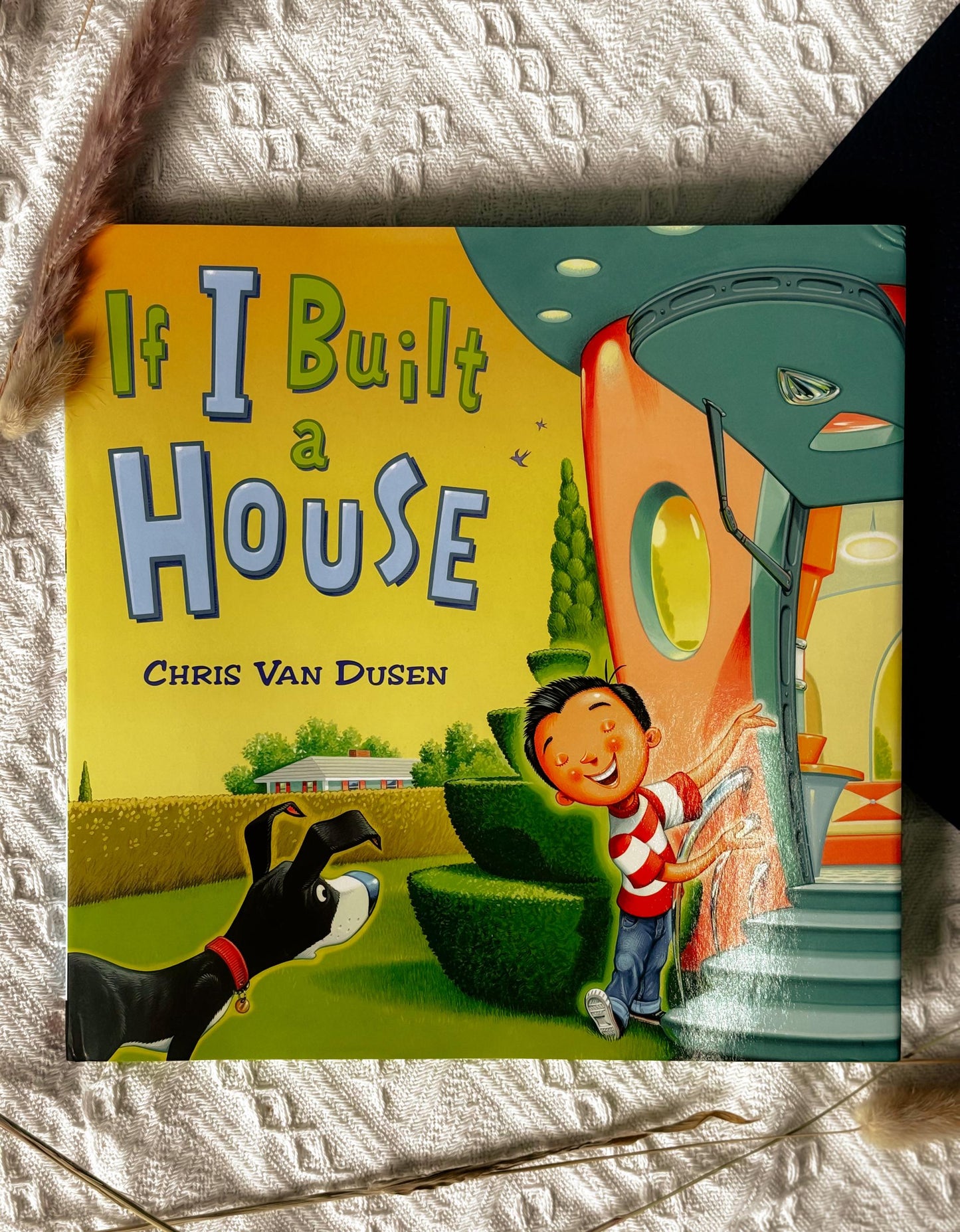 If I Build a... Series