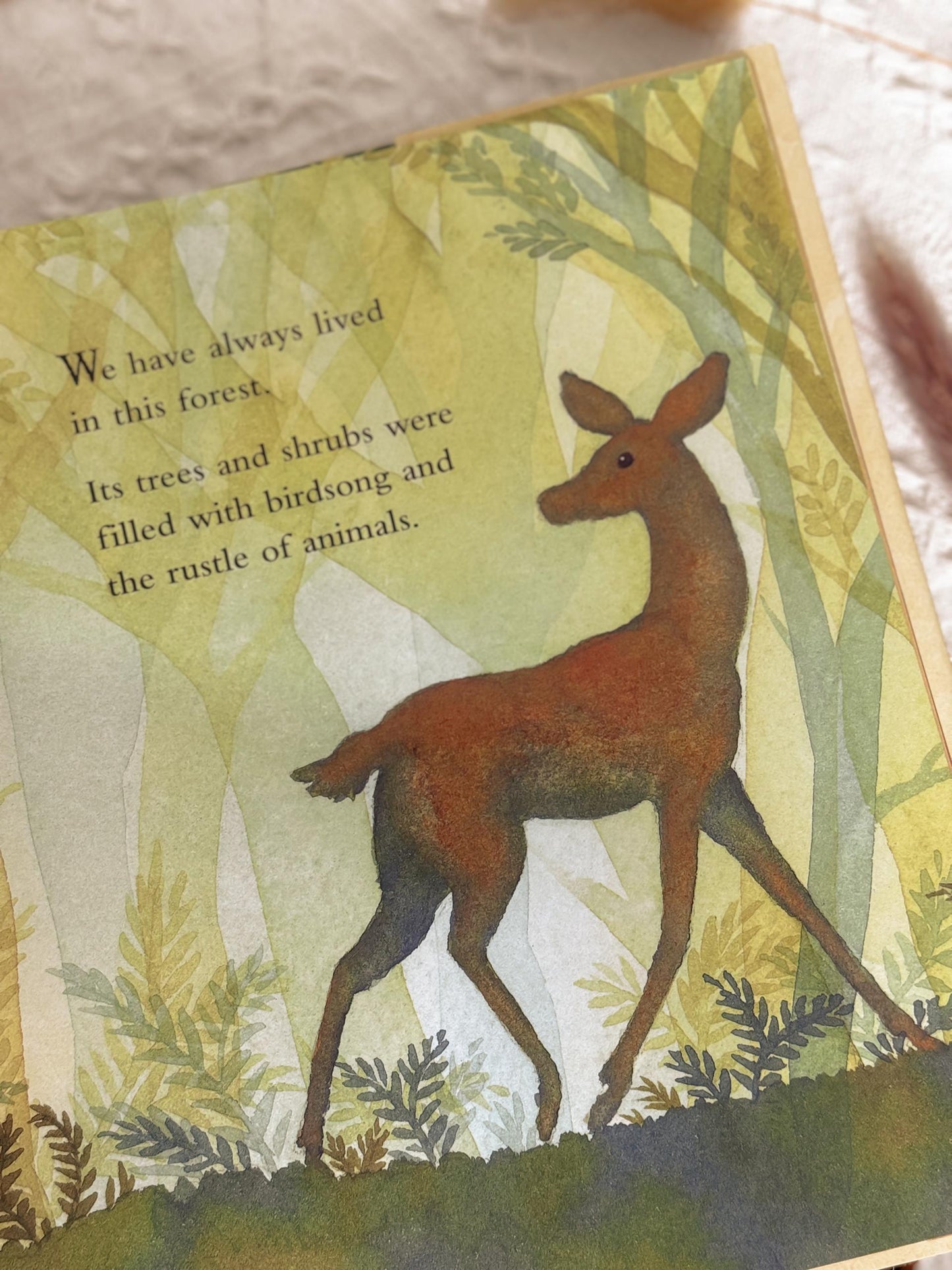 We Will Live in This Forest Again