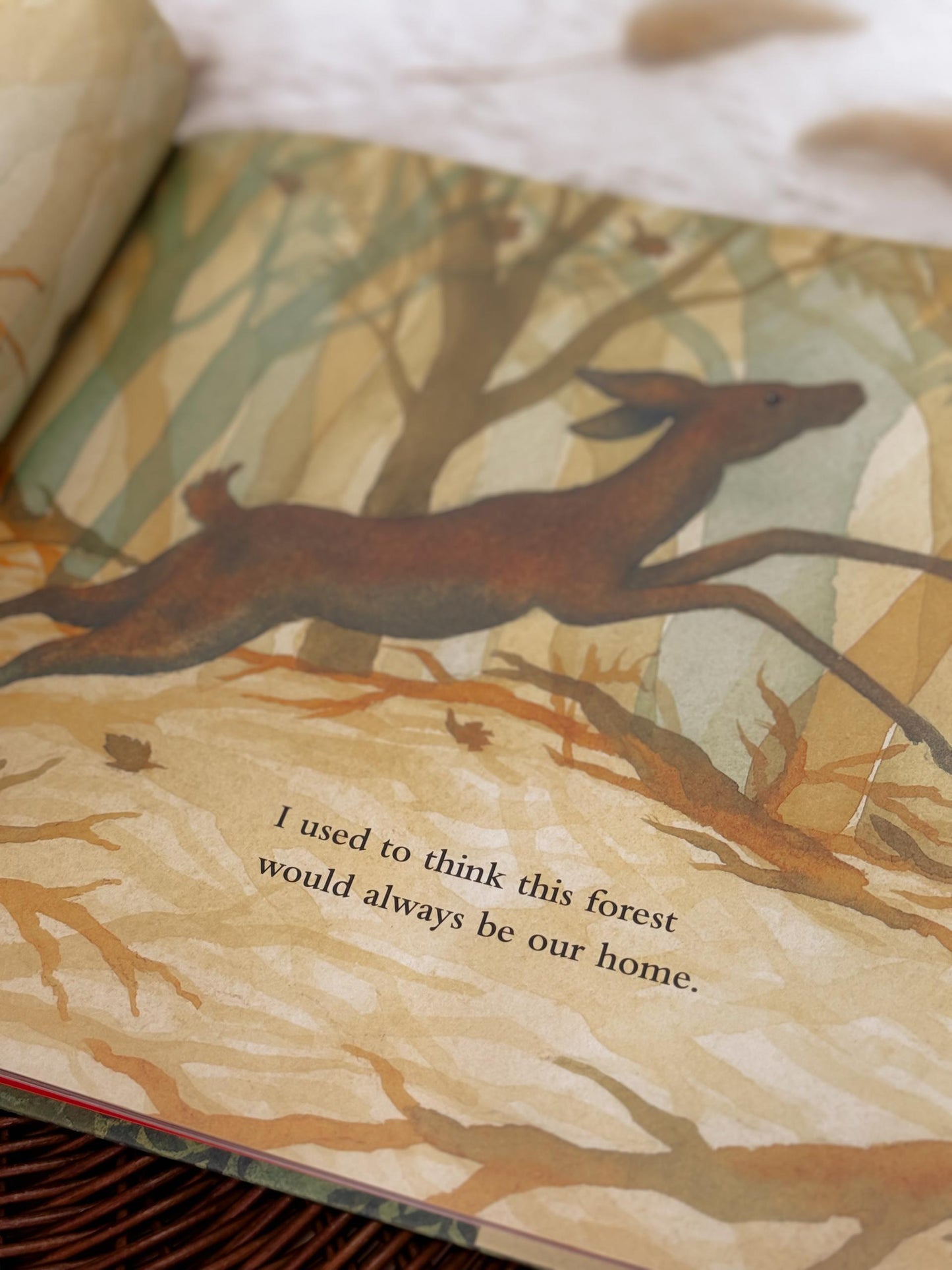 We Will Live in This Forest Again