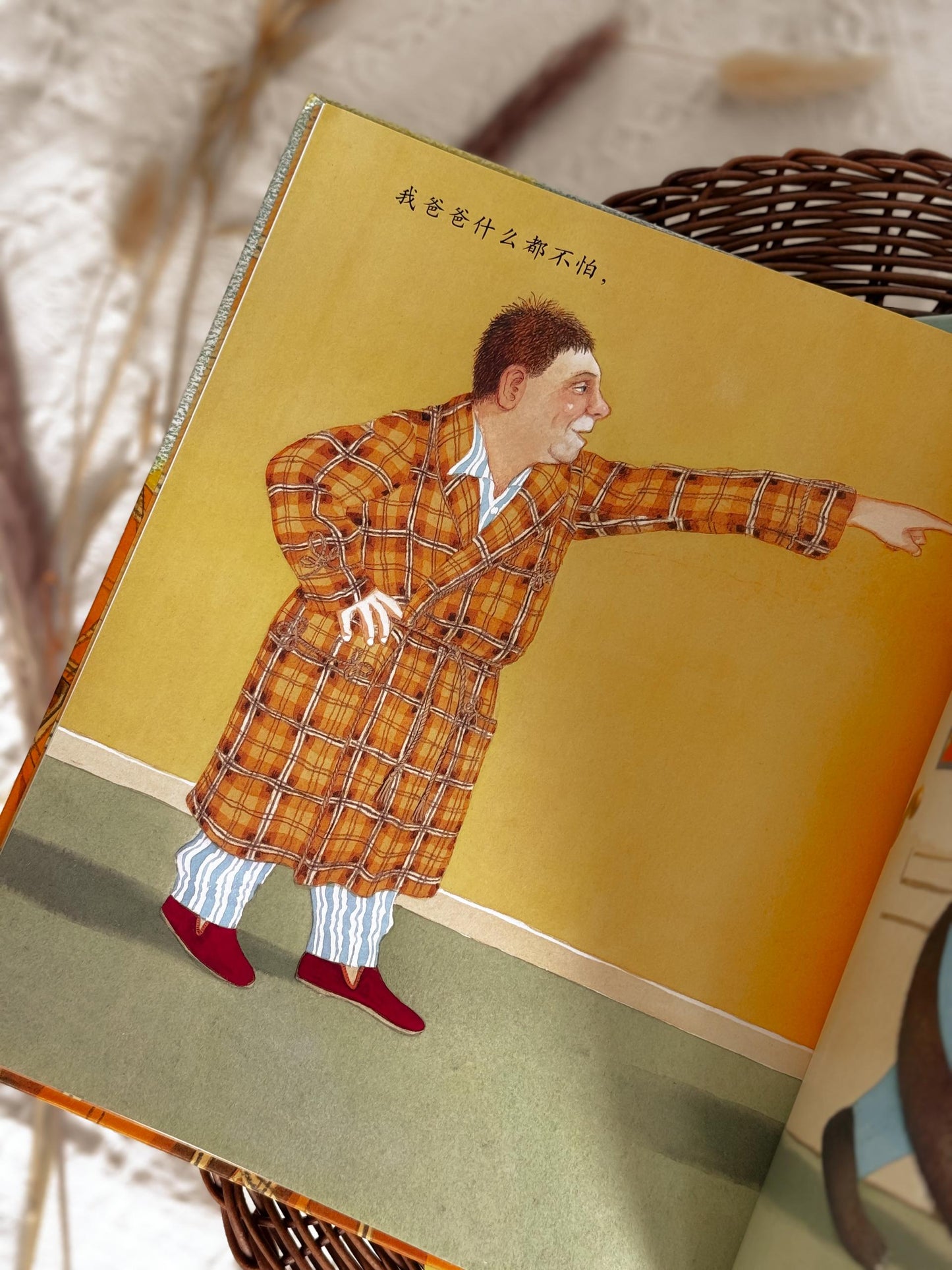 我爸爸