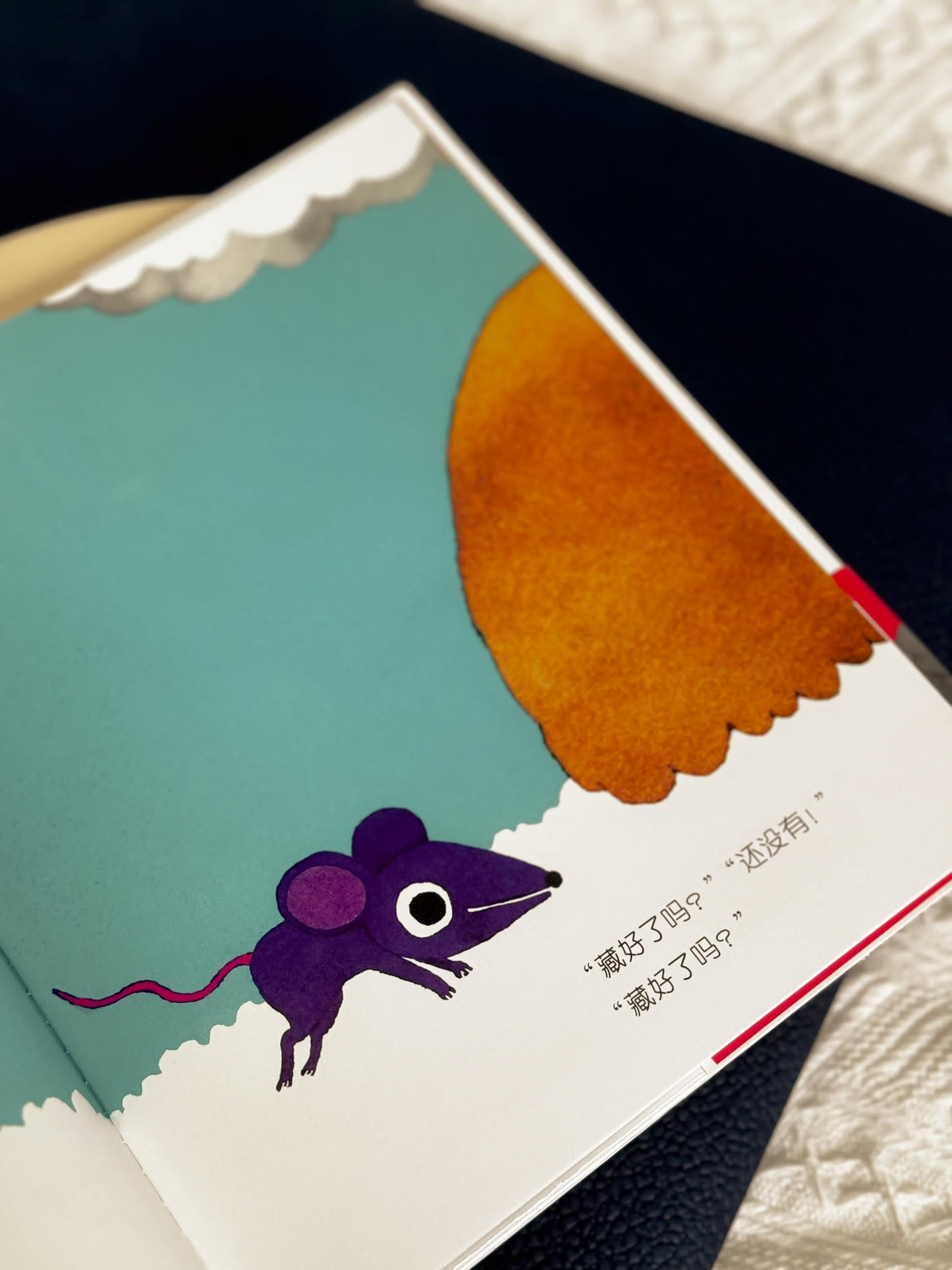 五味太郎: 藏猫猫,藏猫猫
