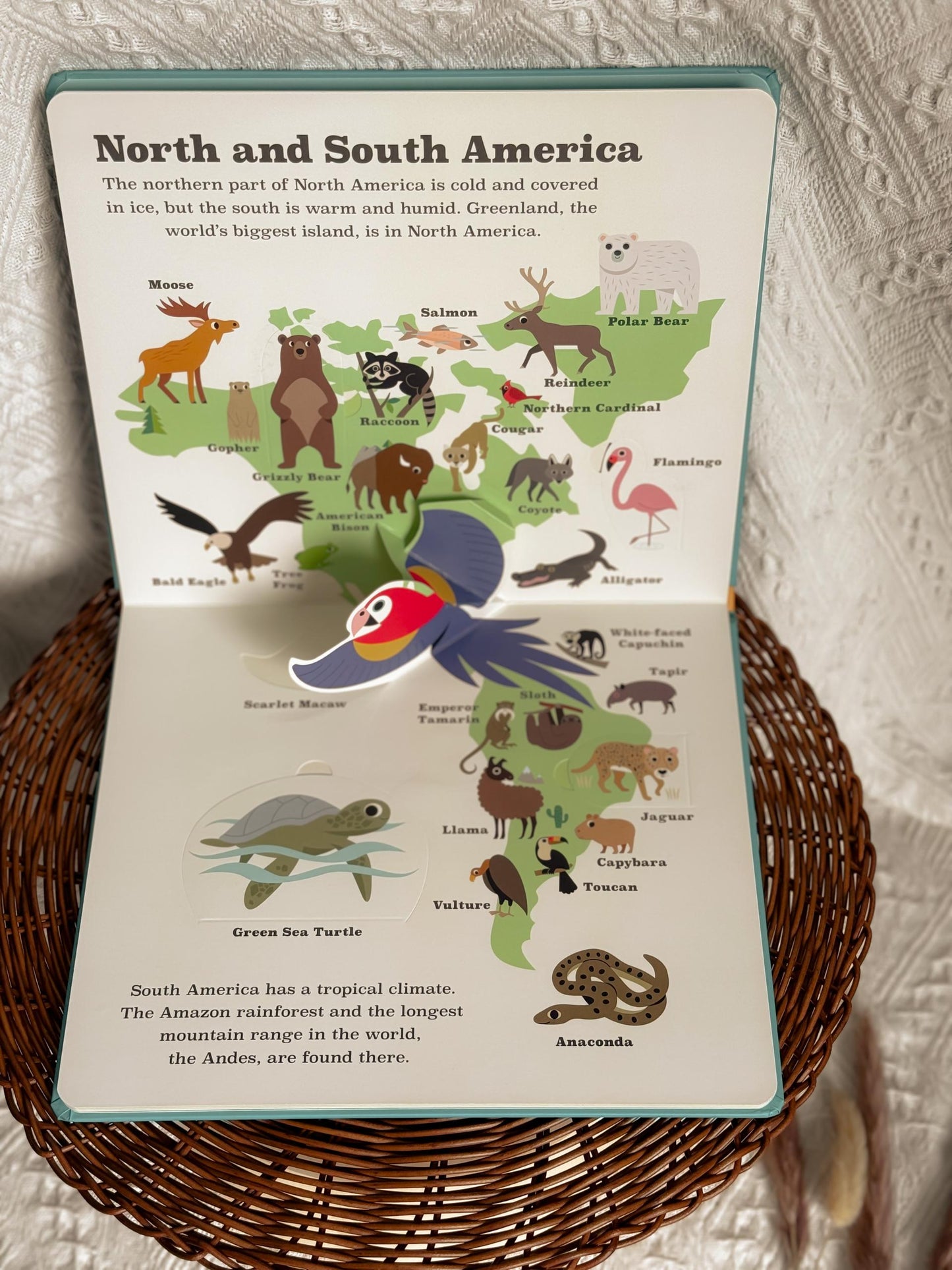 Animal Atlas