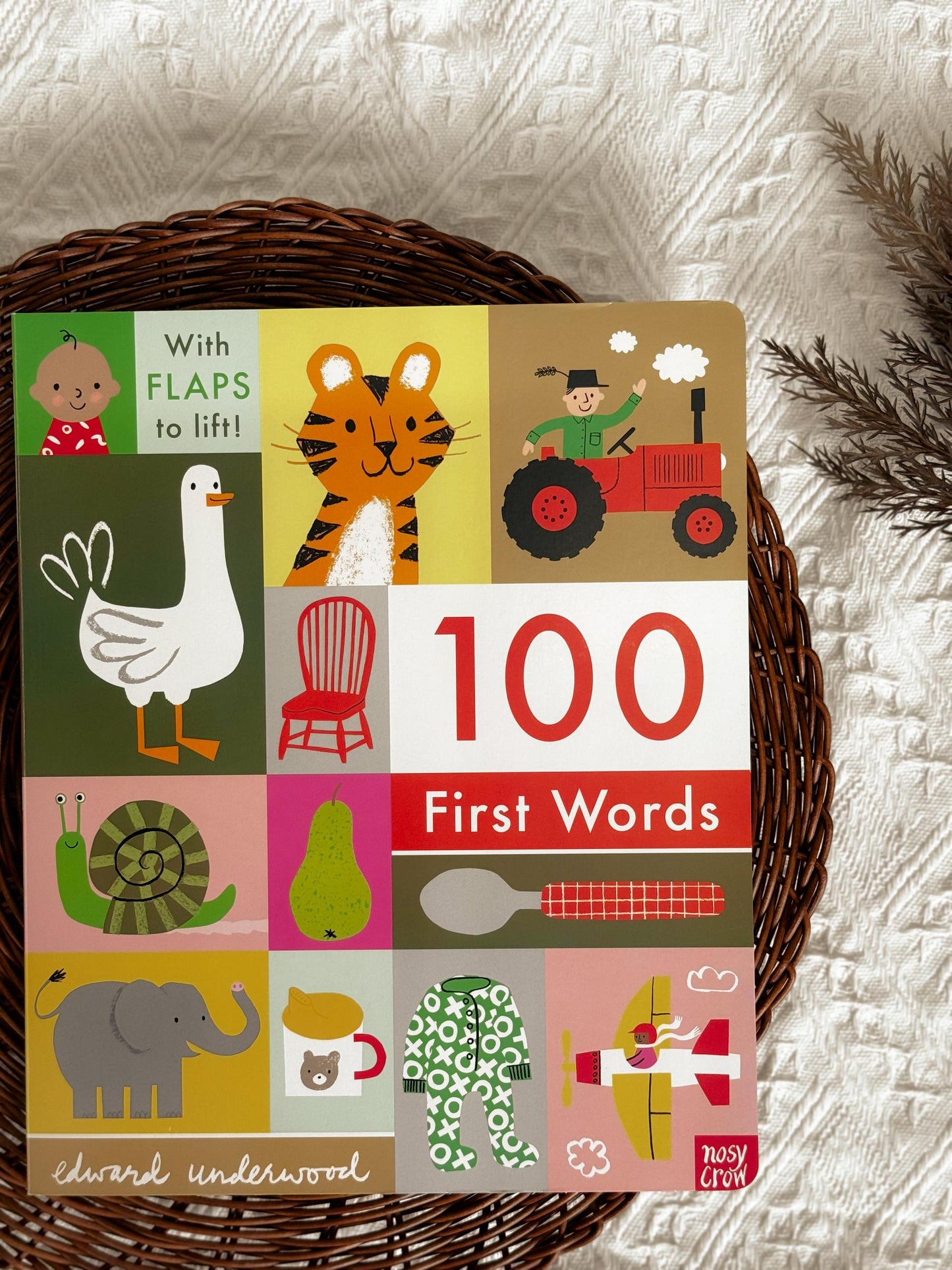 100 First Word Series