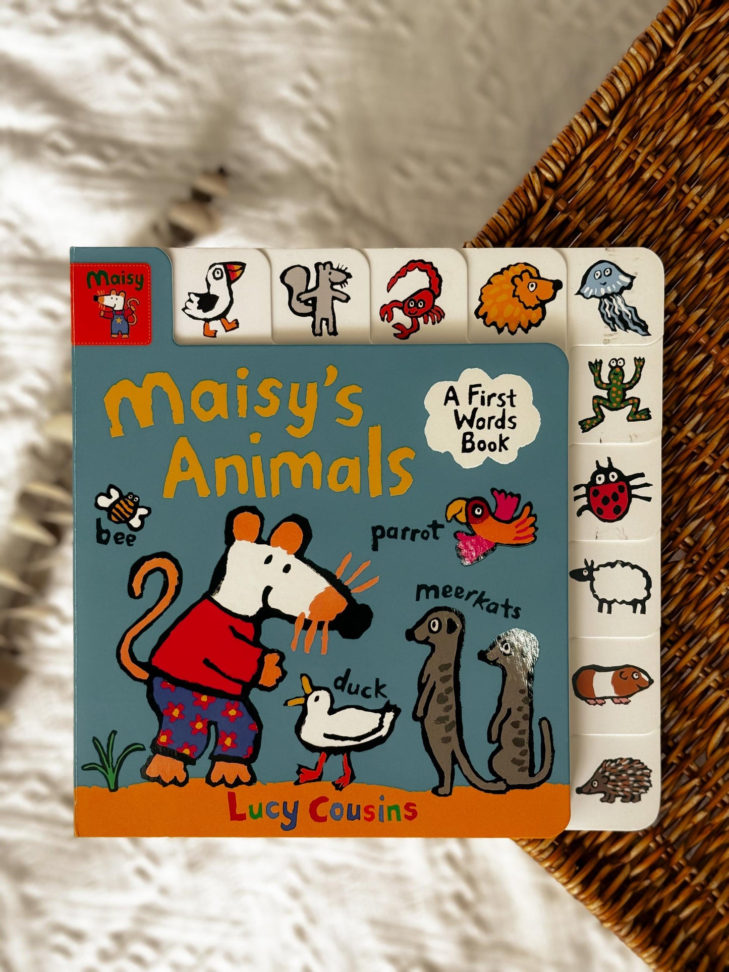 Maisy Learning Series