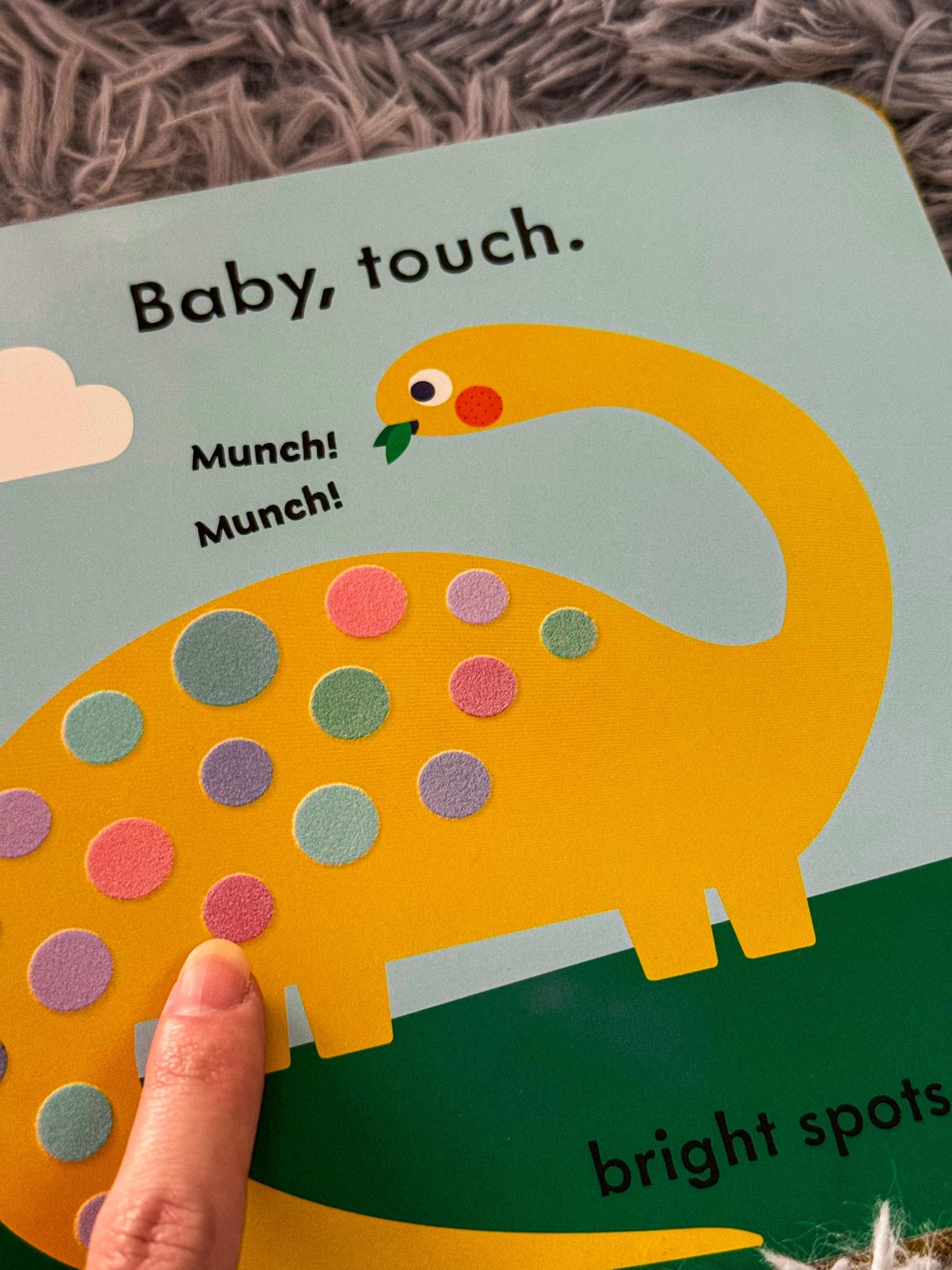 Ladybird Touch & Feel Series